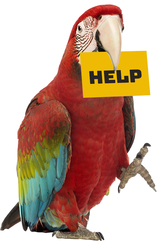 Stolen Birds Help