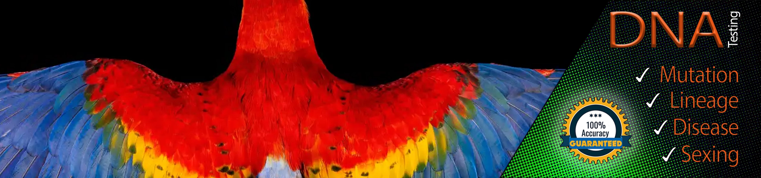 Australian bird classifieds