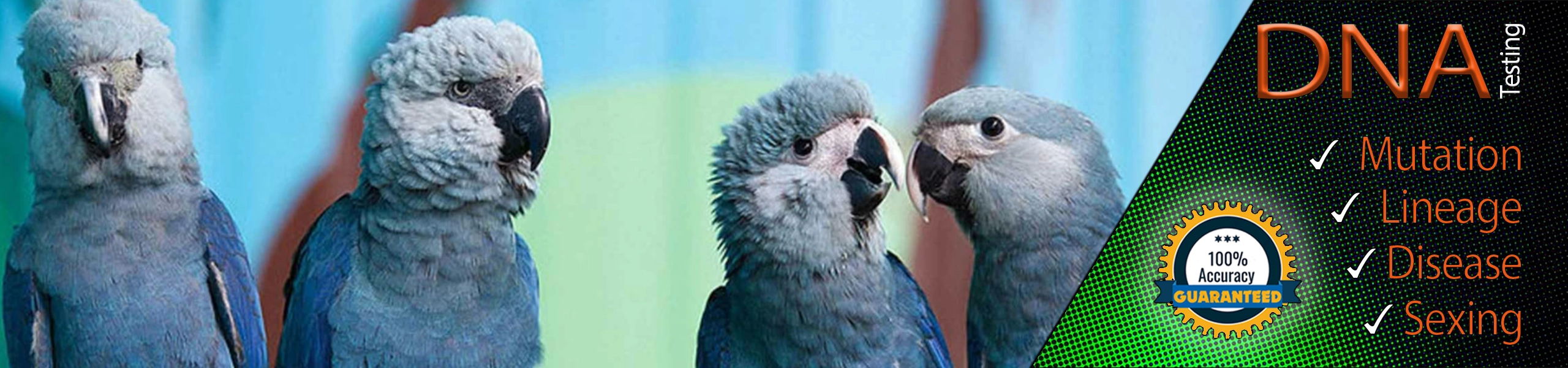 AvianPro Breeders Directory